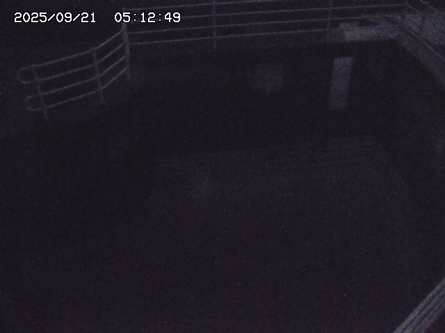 取得できませんでした