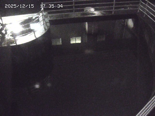 取得できませんでした