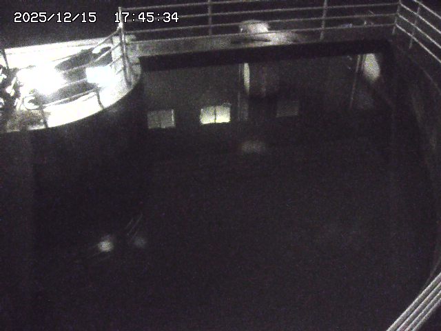 取得できませんでした