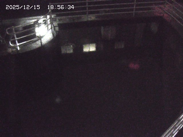 取得できませんでした