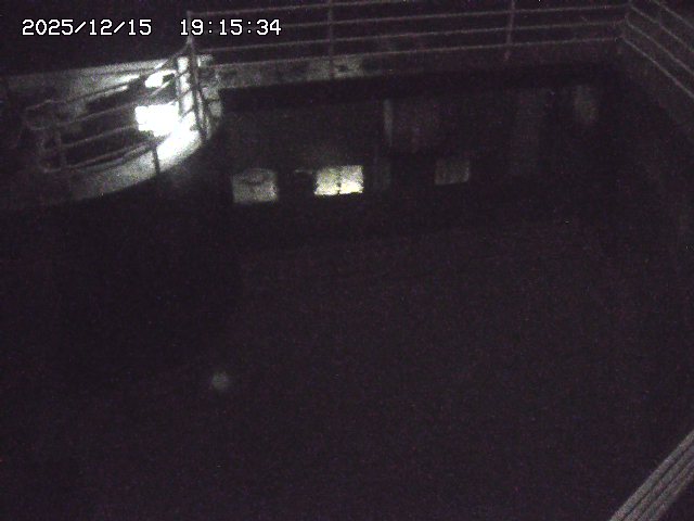 取得できませんでした