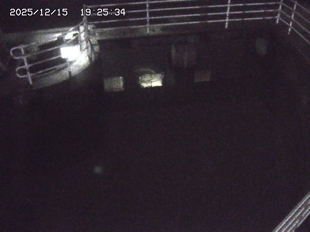 取得できませんでした