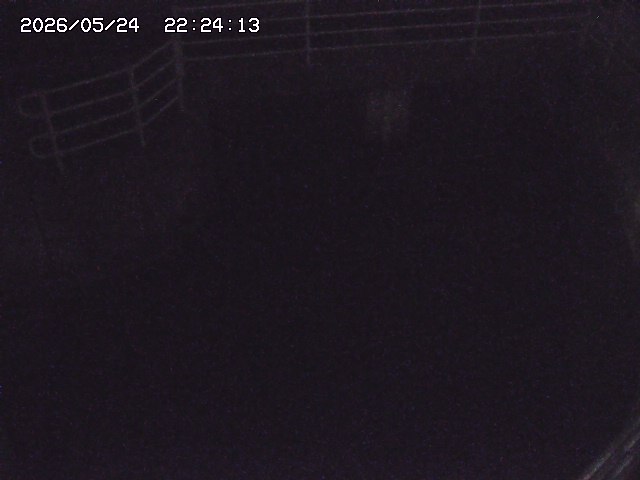 取得できませんでした