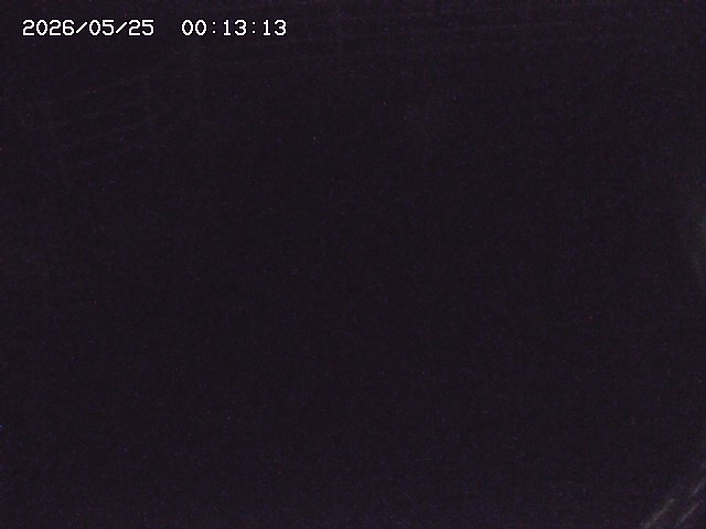 取得できませんでした