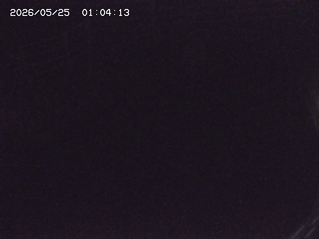 取得できませんでした