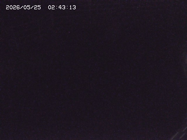 取得できませんでした