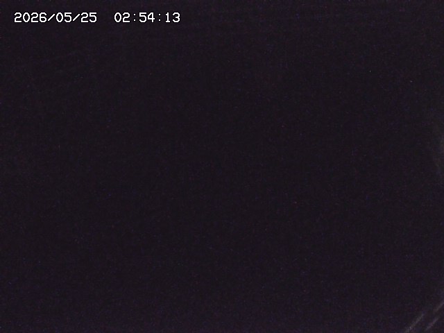 取得できませんでした