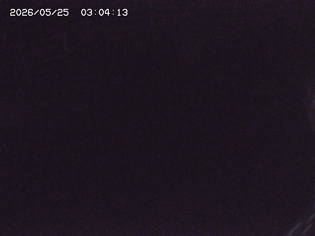 取得できませんでした