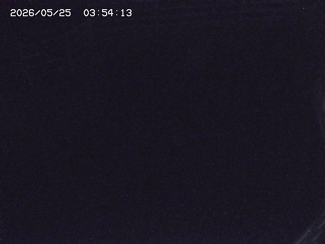 取得できませんでした