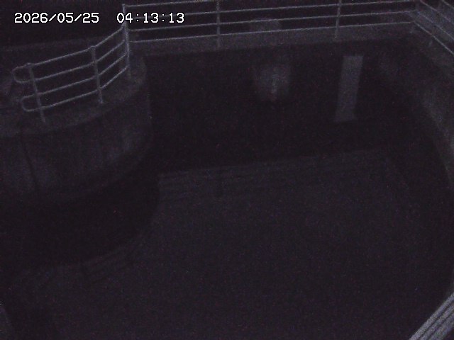 取得できませんでした