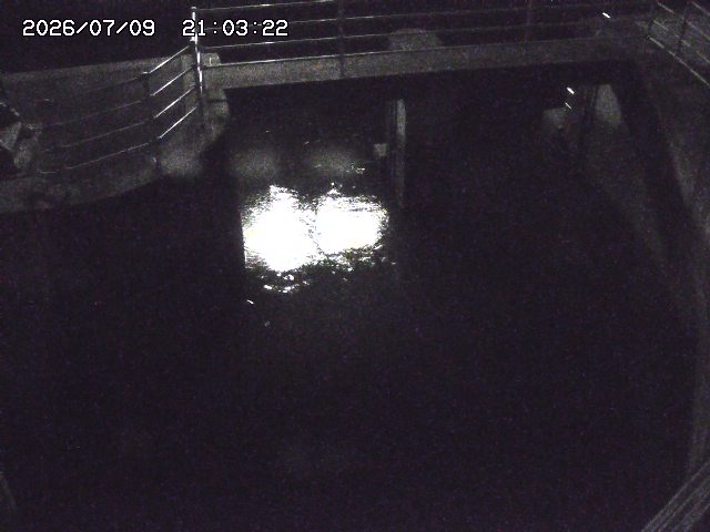 取得できませんでした