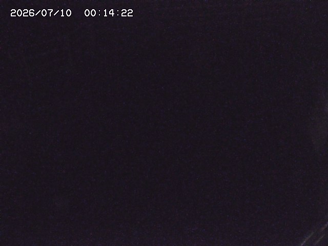 取得できませんでした