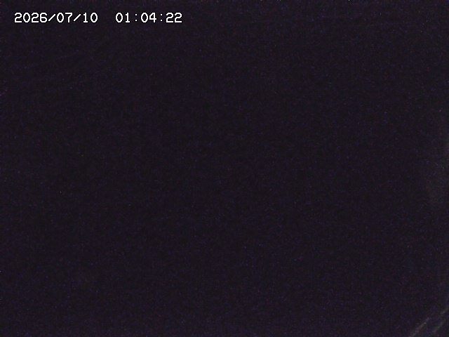 取得できませんでした