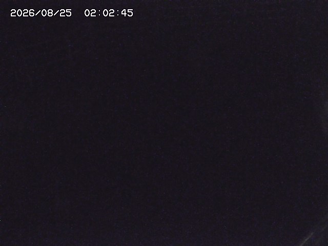 取得できませんでした