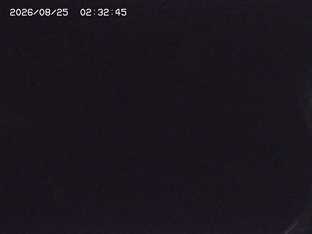 取得できませんでした