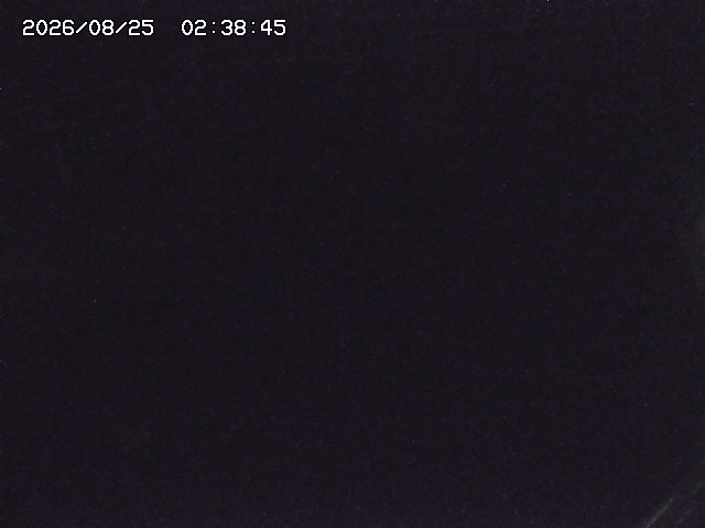 取得できませんでした