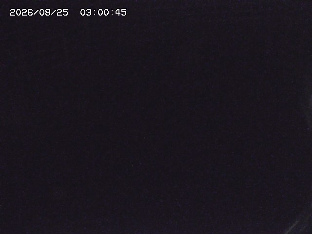 取得できませんでした