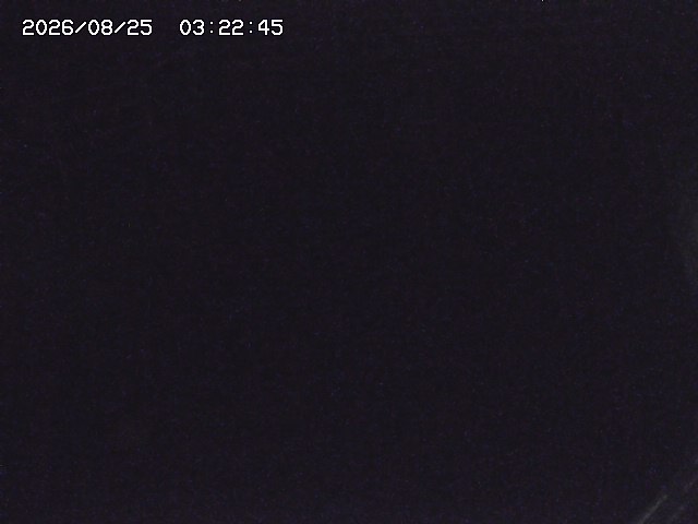 取得できませんでした