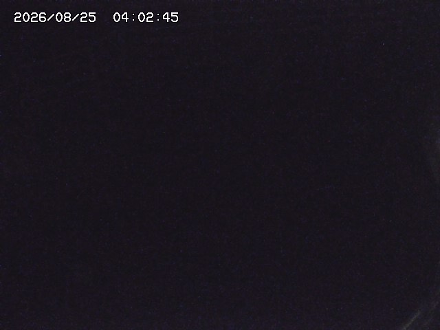 取得できませんでした