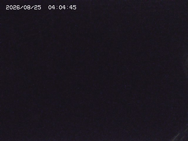 取得できませんでした