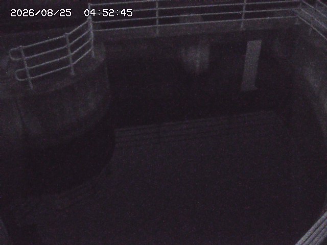 取得できませんでした