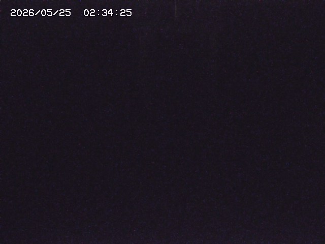 取得できませんでした