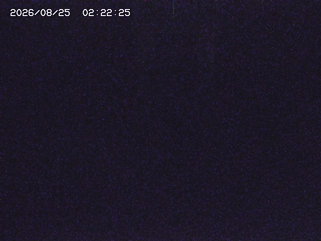取得できませんでした