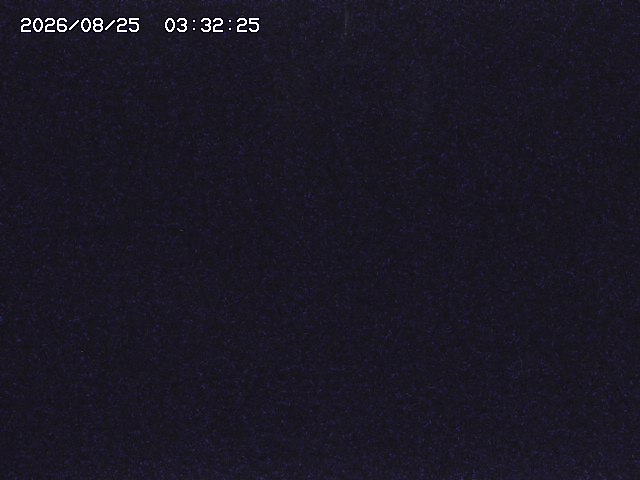 取得できませんでした