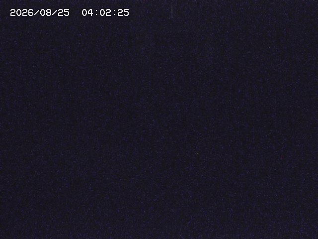 取得できませんでした