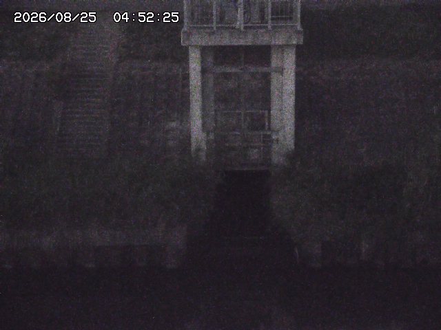 取得できませんでした