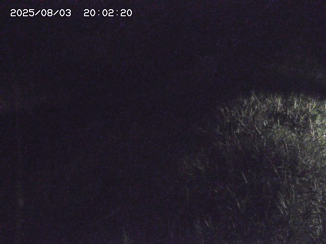 取得できませんでした