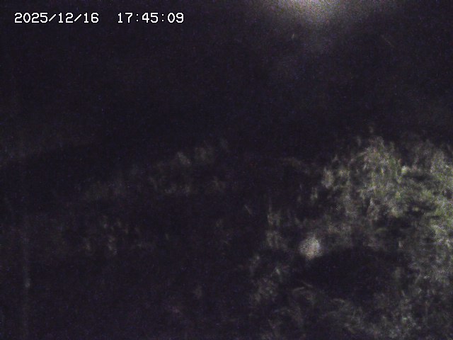 取得できませんでした