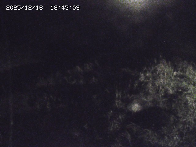 取得できませんでした