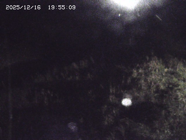 取得できませんでした