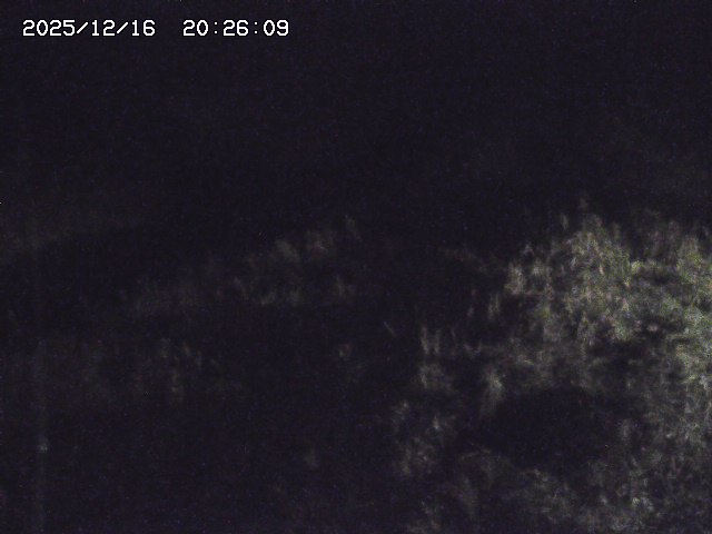 取得できませんでした