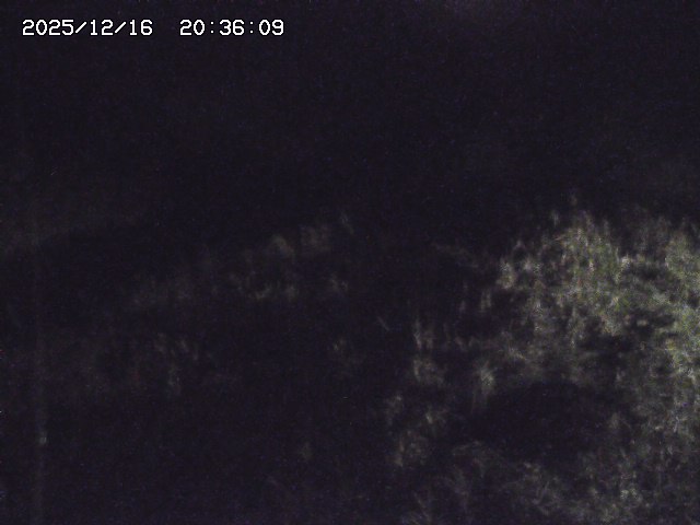 取得できませんでした