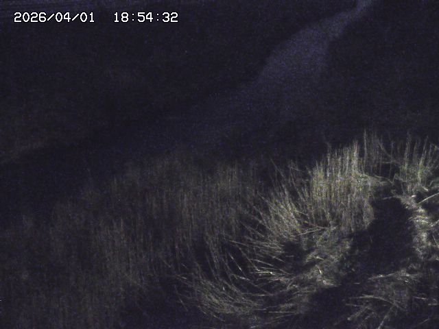 取得できませんでした