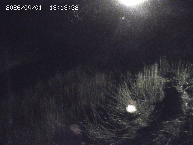 取得できませんでした