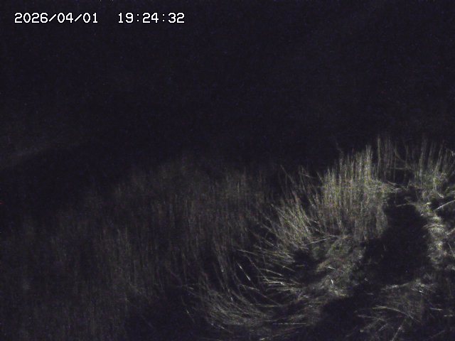 取得できませんでした