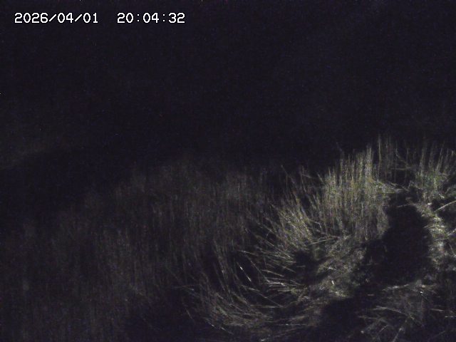 取得できませんでした