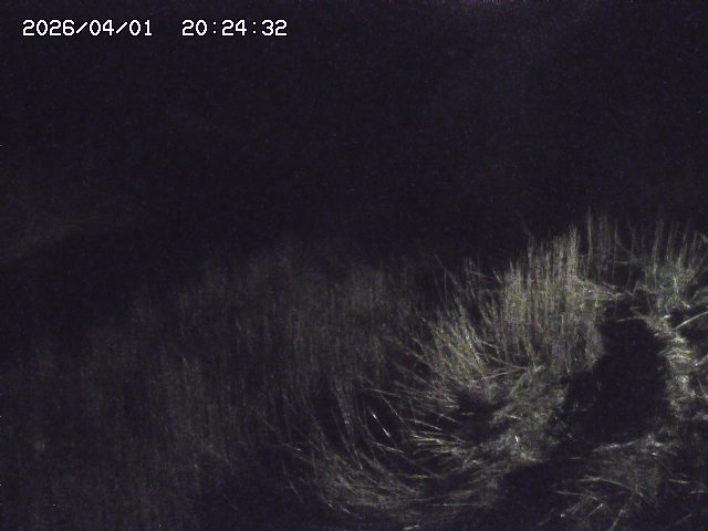 取得できませんでした