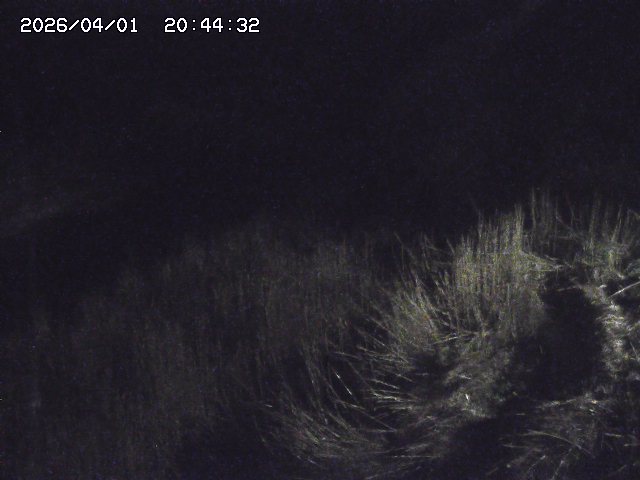 取得できませんでした