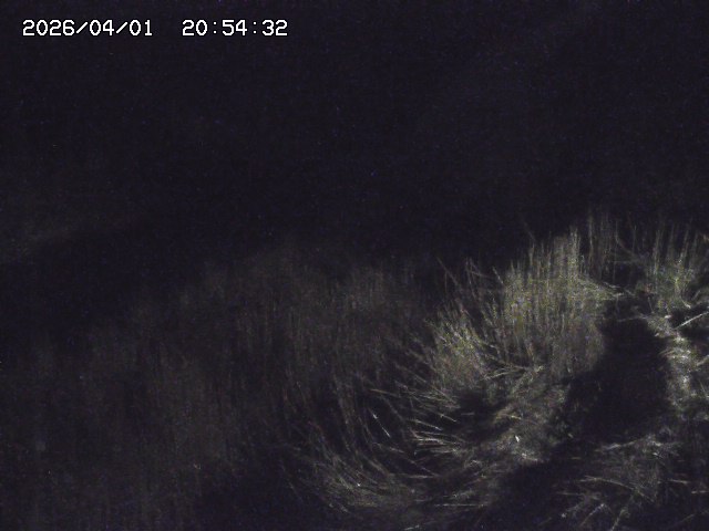 取得できませんでした