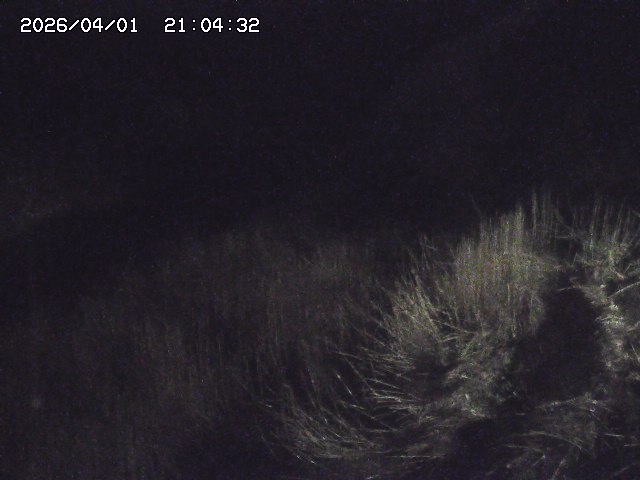 取得できませんでした