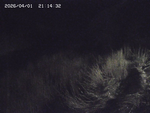 取得できませんでした