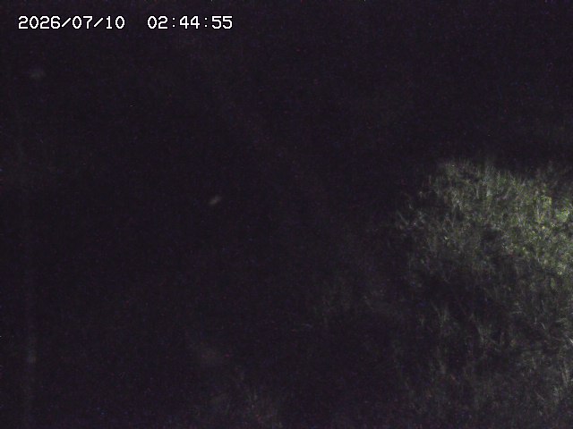 取得できませんでした