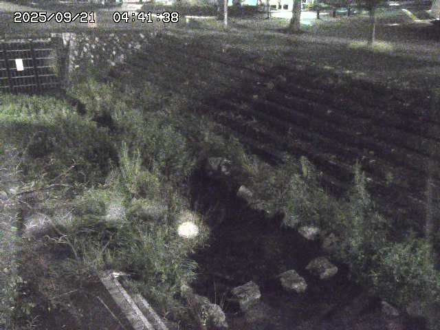 取得できませんでした