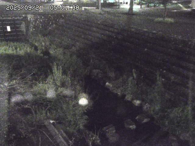 取得できませんでした