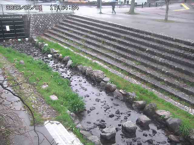 取得できませんでした