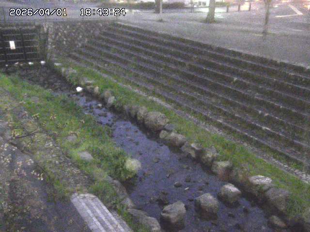 取得できませんでした